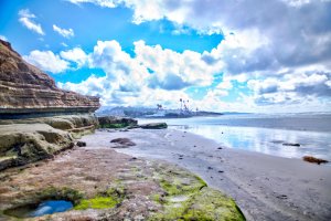 View of North Bluff Preserve cliffs and Pacific Ocean with mossy rock with puddle in foreground