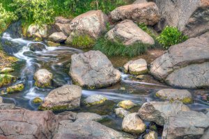 Penasquitos Creek Waterfall closeup