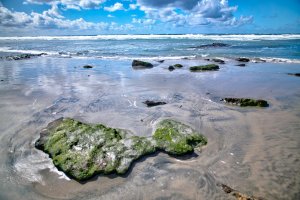 Rocks and Pacific ocean tide at North Bluff Preserve