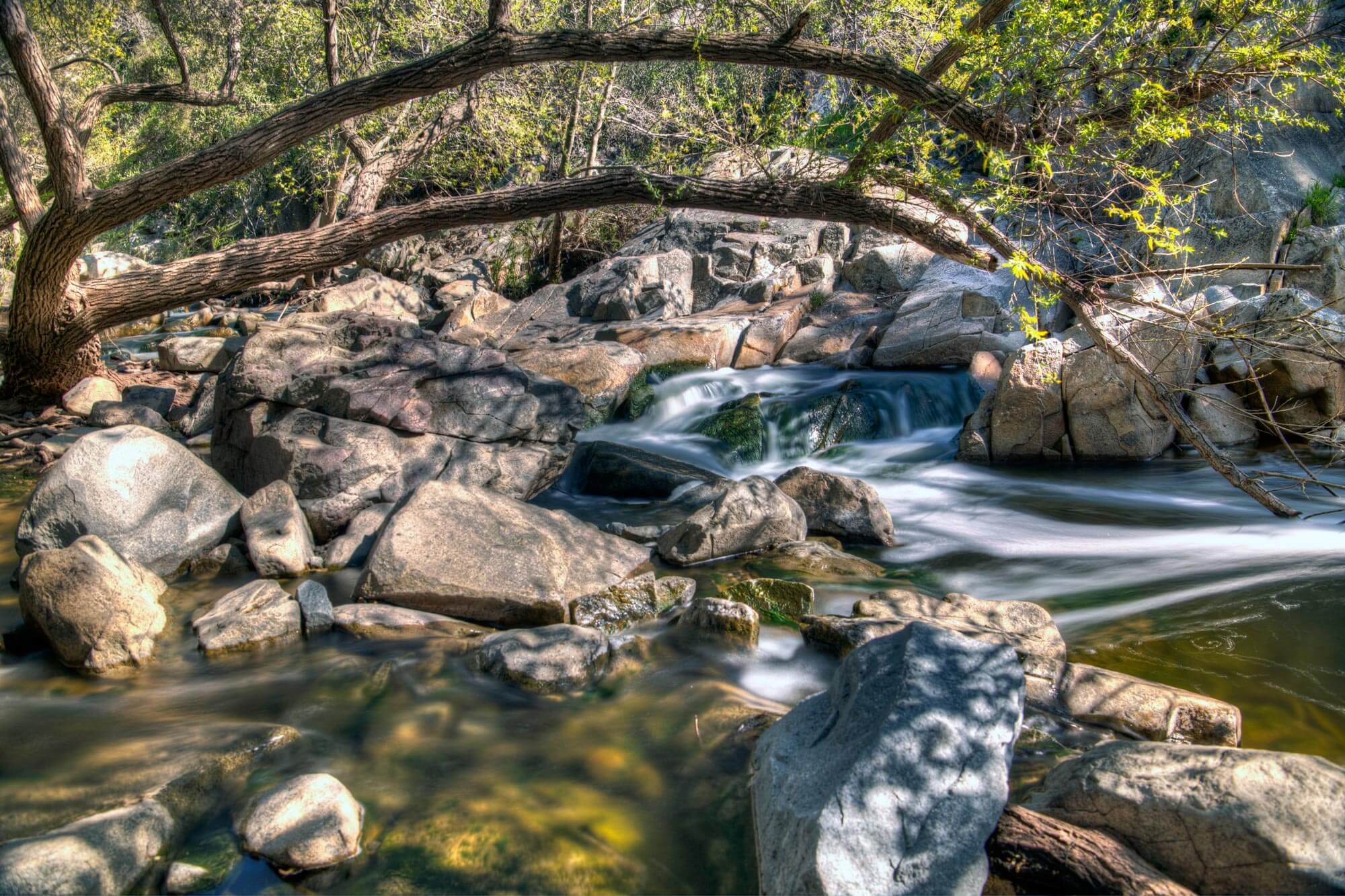 Lake, rocks and tress in Elfin Forest Recreational Reserve